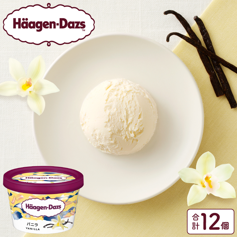 ハーゲンダッツ『ミニカップ12個セット(バニラ味)』アイスクリーム アイス スイーツ デザート_H0016-019北海道浜中町20000菓子・スイーツアイス・ジェラート