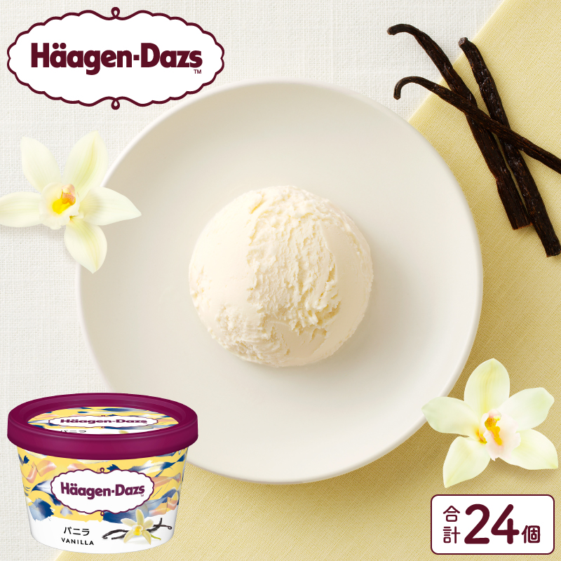 ハーゲンダッツ『ミニカップ24個セット(バニラ味)』アイスクリーム アイス スイーツ デザート_H0016-021北海道浜中町40000菓子・スイーツアイス・ジェラート