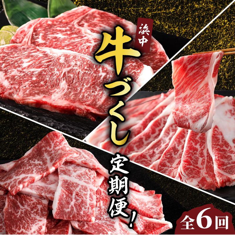 <全6回・連続>浜中牛づくし定期便_H0019-007北海道浜中町114000肉牛肉