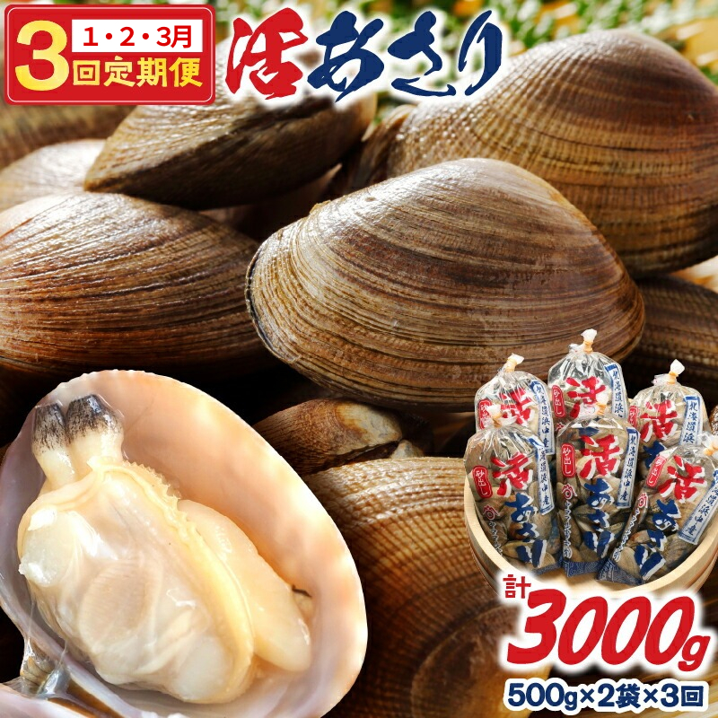 <連続1月・2月・3月お届け>《先行予約・期間限定》浜中町産活あさり定期便 (500g×2袋×3回)総重量3kg_H0023-008北海道浜中町24000魚介・海産物貝類