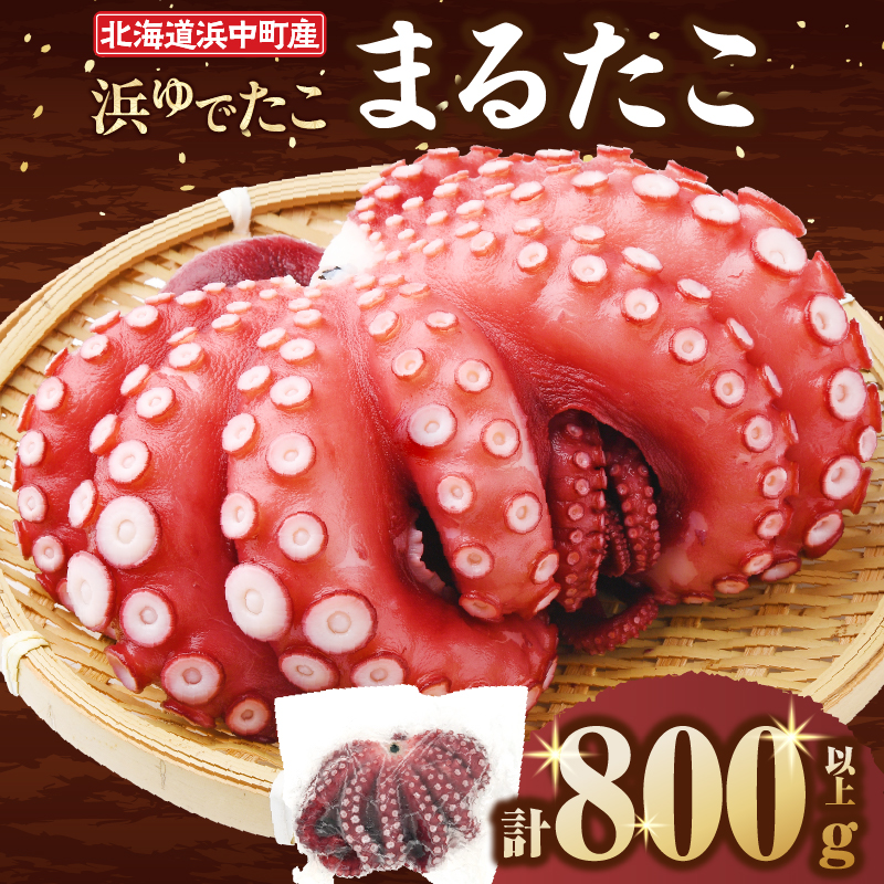 【令和8年2月発送分】浜ゆでたこ「まるたこ」800g以上×1袋 北海道浜中町産_H0023-035北海道浜中町9000魚介・海産物イカ・タコ・ウニ