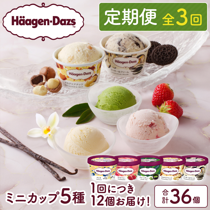 <全3回・連続>お試し定期便!ミニカップ セット アイス スイーツ デザート_H0026-014北海道浜中町60000菓子・スイーツアイス・ジェラート