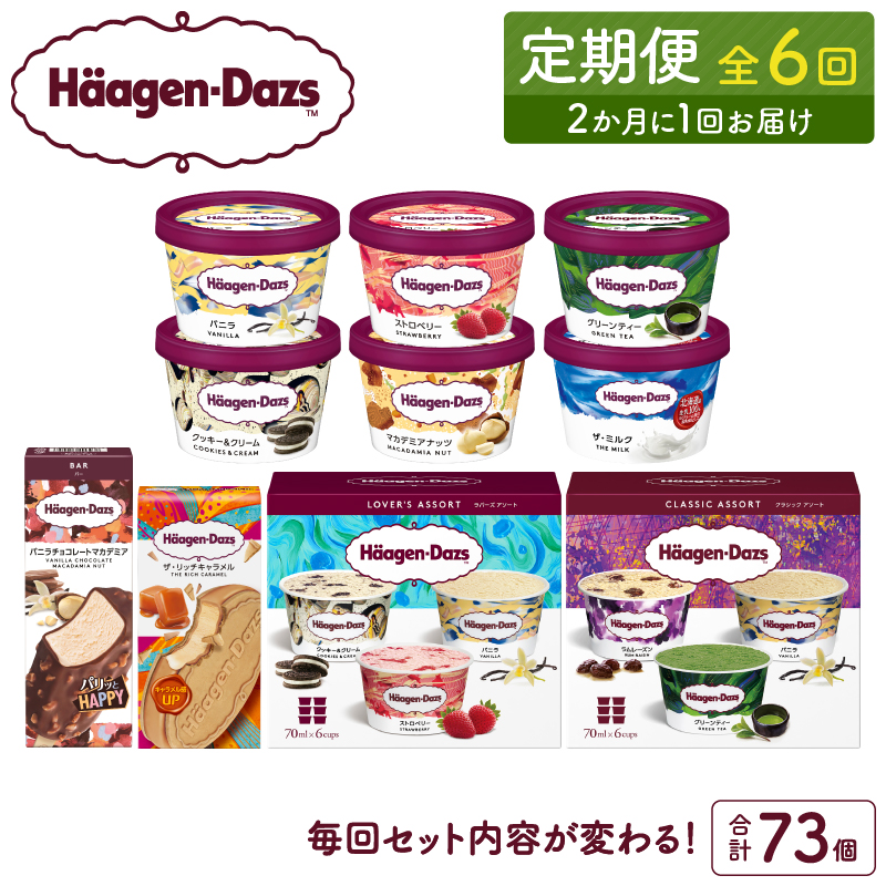 <全6回・隔月>食べ比べ定期便!ハーゲンダッツ人気 セット アイス スイーツ デザート_H0026-022北海道浜中町99000菓子・スイーツアイス・ジェラート