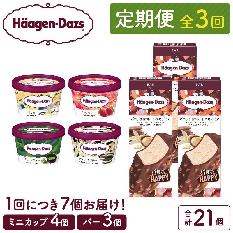 <全3回定期便・連続>ハーゲンダッツ『ミニカップ&バーセット(合計21個)』アイスクリーム アイス スイーツ デザート_H0026-030北海道浜中町36000菓子・スイーツアイス・ジェラート