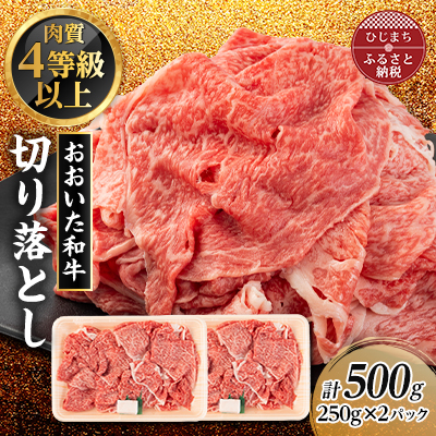 おおいた和牛 切り落とし(500g)【配送不可地域:離島】【1104199】大分県日出町10000肉牛肉