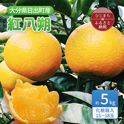 【2026年3月発送】紅八朔 約5kg(化粧箱入り)【1106338】大分県日出町12000果物・フルーツみかん・柑橘類