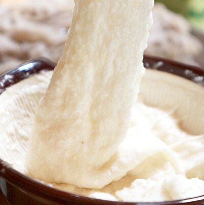 【1月〜順次発送予定分】日出町産自然薯「ねばりごし一本」 (800g)【1234043】大分県日出町12000野菜・きのこ大根・ニンジン・根菜類