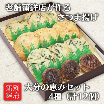 さつま揚げ(天ぷら) 大分の恵みセット 4種/12個入り【配送不可地域:離島】【1258344】大分県日出町11000魚介・海産物その他 魚介・海産物