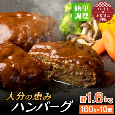 大分の恵みハンバーグ 1.6kg (160g×10個)(日出町)【配送不可地域:離島】【1373904】大分県日出町16000肉加工肉(ハム・ソーセージ等)