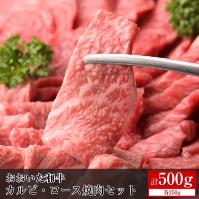 おおいた和牛カルビ・ロース焼肉セット【合計500g】【配送不可地域:離島】【1395594】大分県日出町18000肉牛肉