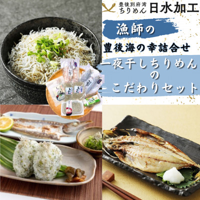 豊後海の幸詰合せ  一夜干しやちりめんのこだわりセット【配送不可地域:離島】【1476368】大分県日出町12000魚介・海産物その他 魚介・海産物