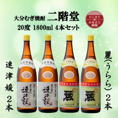 大分むぎ焼酎 二階堂速津媛2本と麗(うらら)20度(1800ml)4本セット【1494852】大分県日出町28000酒・アルコール焼酎