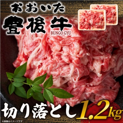 おおいた豊後牛切り落とし 1.2kg(600g×2P)(日出町)【配送不可地域:離島】【1571550】大分県日出町15000肉牛肉