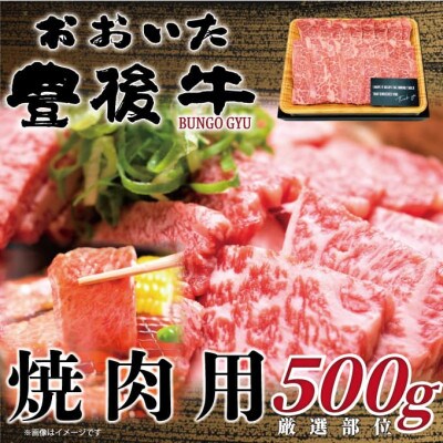 L㋍ēp 500g(o)yzsnFzy1571606z啪o12000