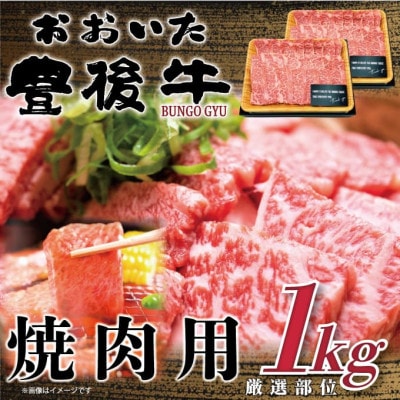 おおいた豊後牛焼肉用 1kg(500g×2P)(日出町)【配送不可地域:離島】【1571694】大分県日出町24000肉牛肉