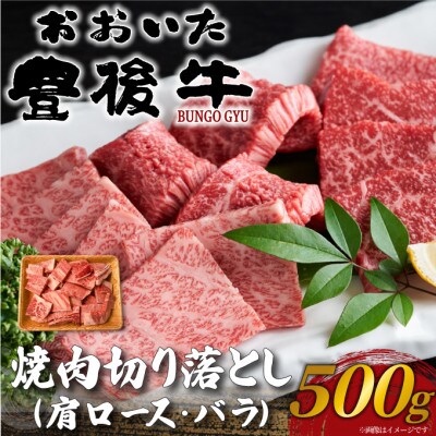 L㋍ē؂藎Ƃ 500g(o)yzsnFzy1571734z啪o11000