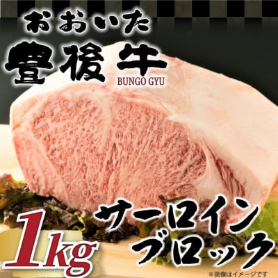 【厳選部位】おおいた豊後牛サーロインブロック(1kg)(日出町)【配送不可地域:離島】【1571758】大分県日出町27000肉牛肉