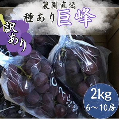 y󂠂z(킠) 2kg(6`10[)yzsnFzy1650294z啪o10000ʕEt[c}XJbgEԂǂ