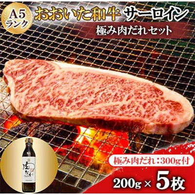 おおいたの美味しいお肉食べつくしセットE【複数個口で配送】【配送不可地域:離島】【4063854】大分県日出町115000肉牛肉