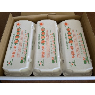 【発送月固定定期便】平飼い卵なちゅら(30ヶ入り)全6回【配送不可地域:離島】【4064959】大分県日出町70000卵・乳製品卵(鶏、烏骨鶏等)