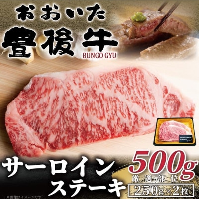 【毎月定期便】おおいた豊後牛サーロインステーキセット 500g(250g×2枚)(日出町)全6回【配送不可地域:離島】【4074136】大分県日出町97000肉牛肉