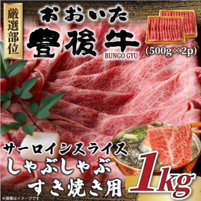 yցzI L㋍T[CԂĂp1kg 500g×2(o)S3yzsnFzy4074265z啪o87000