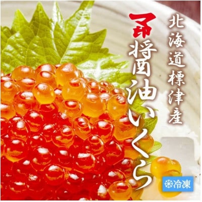 マ印 醤油いくら 計500g【配送不可地域:離島】【1660975】北海道標津町58000魚介・海産物いくら