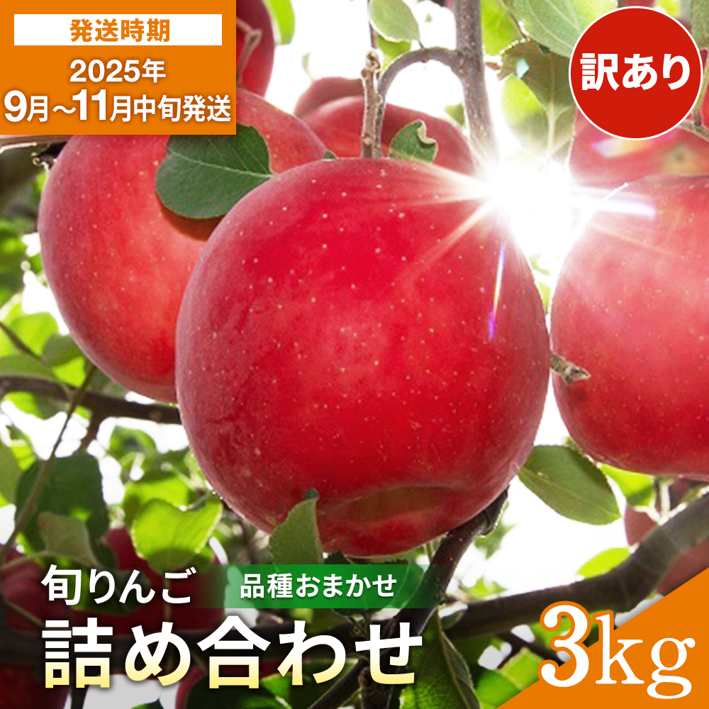 \出荷中/ 訳あり りんご 早生 品種おまかせ 家庭用 3kg さんさ こうりん シナノスイート シナノゴールド トキ アキタゴールド 秋田紅あかり の中から 濃厚 で ジューシー な 美味しい 林檎
