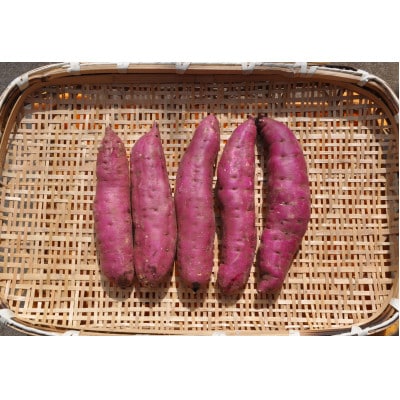 熟成1ヵ月以上でお届け! 紅はるか サツマイモ 4.75kg Mサイズ〜2Lサイズ混ざり (土付き)【1421158】茨城県ひたちなか市8000野菜・きのこじゃがいも・イモ類