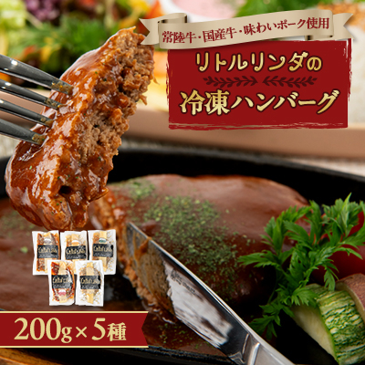 リトルリンダの冷凍ハンバーグ5種類入り(200g×5)ギフトボックス【配送不可地域:離島】【1623050】茨城県ひたちなか市17000肉加工肉(ハム・ソーセージ等)