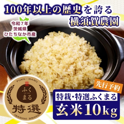 ys\E9ȍ~zߘa7N@ЂȂsY@́EIӂ܂()10kg×1܁y1641940z錧ЂȂs22000āEpāEGāEāE