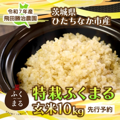 【先行予約・9月以降順次発送】令和7年産 特栽ふくまる(玄米)10kg×1袋 ひたちなか市産【1654182】茨城県ひたちなか市22000米・パン玄米・雑穀米・もち米・餅