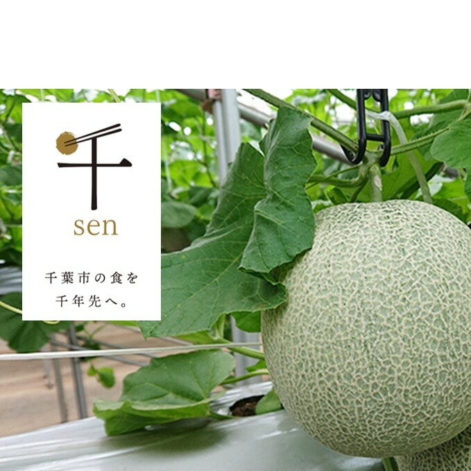 t@yuhzy ʕ   XC[c ʕ  F z tts12000ʕEt[cEXCJ