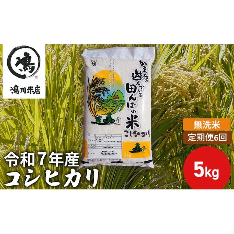 令和7年産 6ヶ月定期便 コシヒカリ 無洗米 5kg 【定期便・ お米 精米 粘りつやつや 甘み 美味しい 新鮮 】 千葉県千葉市84000米・パン白米
