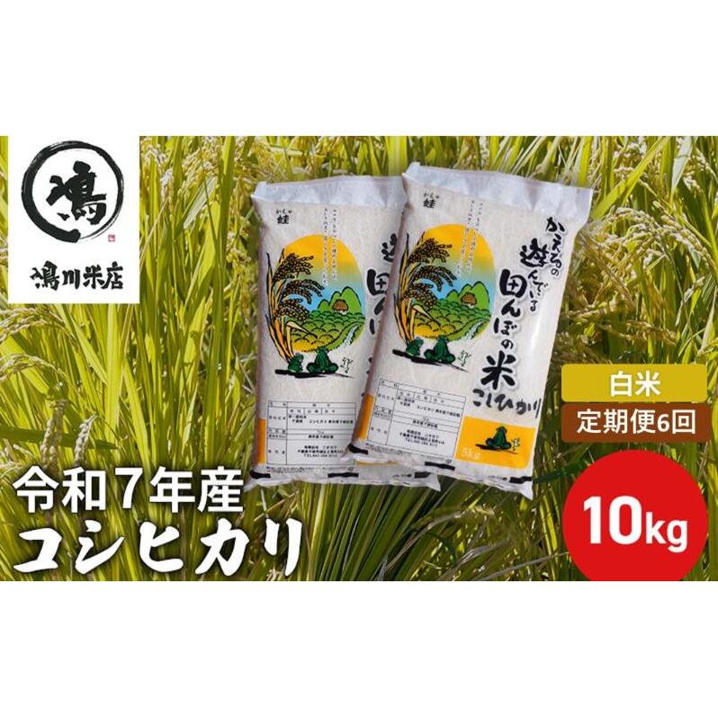 令和7年産 6ヶ月定期便 コシヒカリ 白米 10kg【定期便 お米 白米 粘り甘み】 精米 粘りつやつや 美味しい 新鮮 千葉県千葉市168000米・パン白米