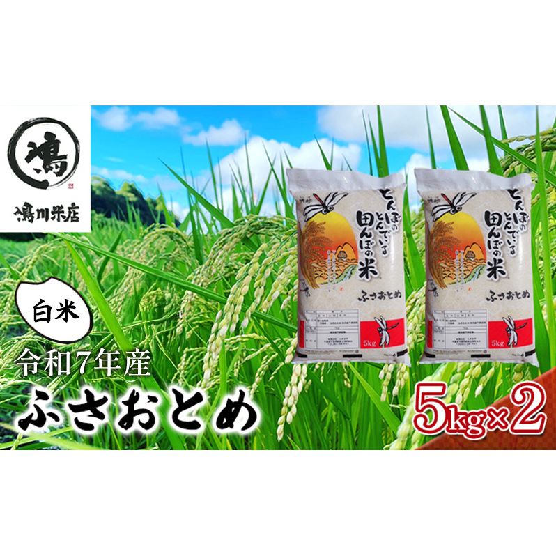 新米 令和7年 ふさおとめ 白米 10kg(5kg×2)【 お米 精米 大粒 粘り気 ファン 】 千葉県 千葉県千葉市26000米・パン白米