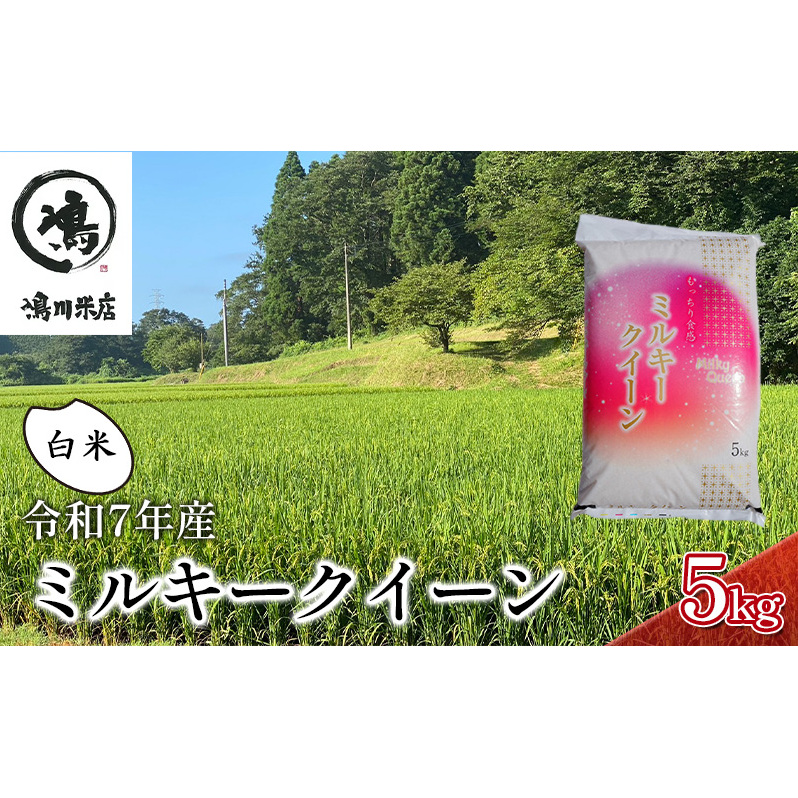 新米 令和7年 ミルキークイーン 白米 5kg 特別栽培米【お米 粘り もっちり おにぎり お弁当】 千葉県 千葉県千葉市15000米・パン白米