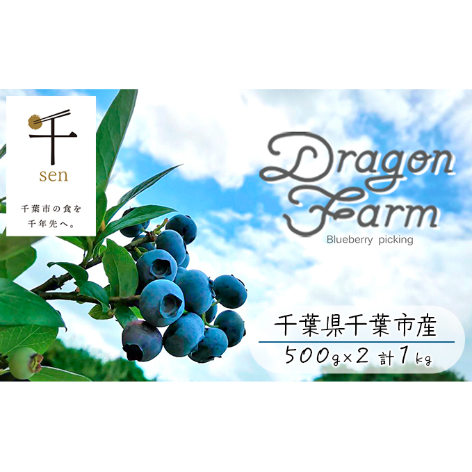 栽培期間中農薬不使用 完熟ブルーベリー 1kg【果物詰合せ フルーツ 千ブランド 千葉市 ブルーベリー 】 千葉県 千葉県千葉市13000果物・フルーツその他 果物・フルーツ