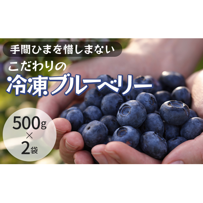 冷凍こだわりブルーベリー 500g×2【フルーツ  冷凍 1kg】 果物詰合せ 千葉県 千葉県千葉市11000果物・フルーツその他 果物・フルーツ