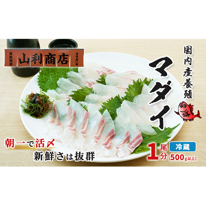 千葉市場直送 朝一活〆!マダイ1尾分(皮付ロイン・スキンレスロイン) 魚貝類 冷蔵 柵 養殖マダイ 新鮮 刺身 切り身 たいの刺身 たいの柵 つまみ 肴 千葉県千葉市12000魚介・海産物その他