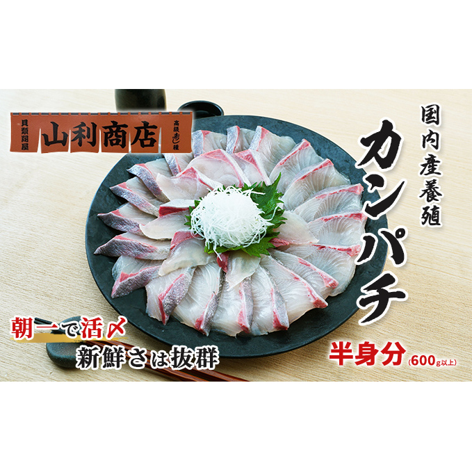 千葉市場直送 朝一活〆!カンパチ半身分(スキンレスロイン) 魚貝類 冷蔵 柵 新鮮 刺身 養殖カンパチ しゃぶしゃぶ かんぱちの刺身 つまみ 肴 千葉県千葉市19000魚介・海産物