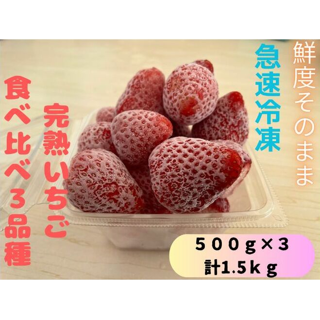 鮮度そのまま!!急速冷凍完熟いちご食べ比べ3品種(紅ほっぺ・よつぼし・はるひ・スターナイト・おいCベリー・かおり野・恋みのりの中からランダムで3品種)500g×3袋セット ふぁいんファ