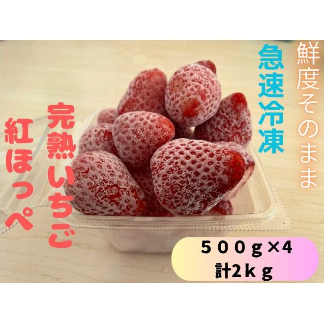 鮮度そのまま!!急速冷凍完熟いちご(紅ほっぺ)500g×4袋セット ふぁいんファーム千葉県千葉市18000果物・フルーツいちご