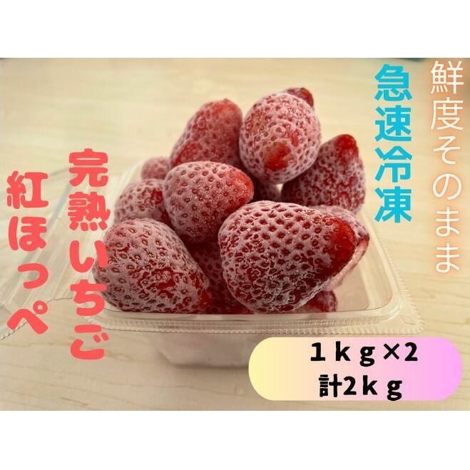 鮮度そのまま!!急速冷凍完熟いちご(紅ほっぺ)1kg×2袋セット ふぁいんファーム千葉県千葉市18000果物・フルーツいちご