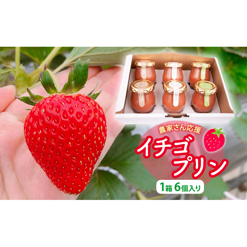 農家さん応援 イチゴプリン1箱6個入り お菓子 おやつ スイーツ デザート 食後 ひんやりスイーツ 千葉県千葉市11000菓子・スイーツプリン・ゼリー
