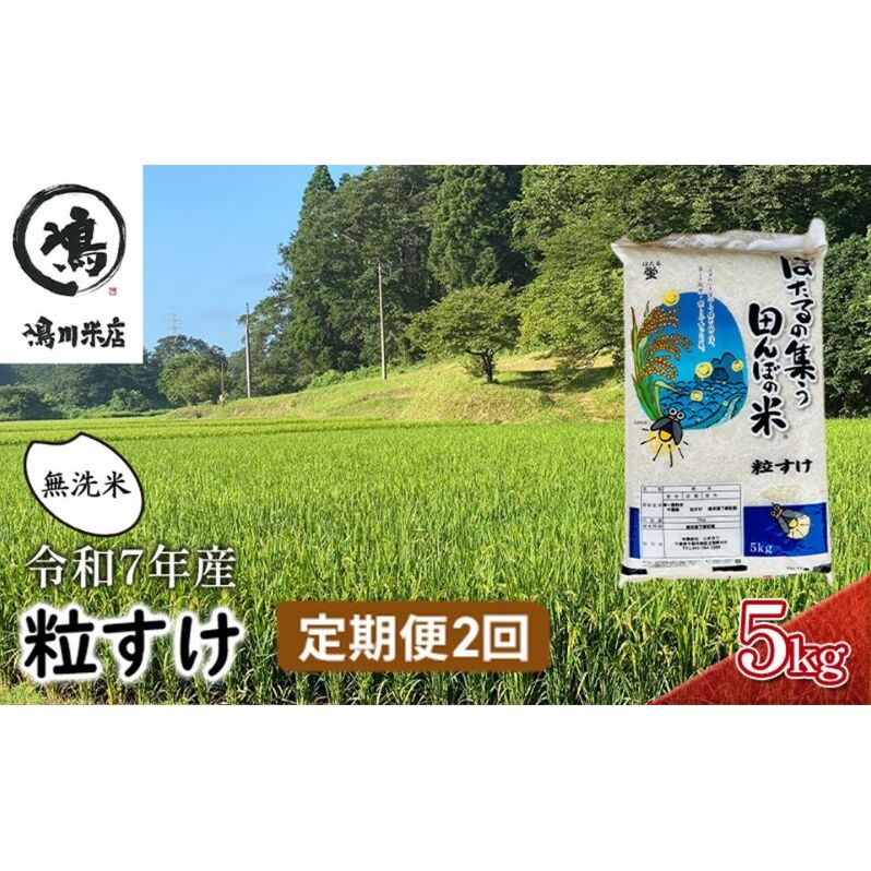 令和7年産 粒すけ 定期便2か月 乾式無洗米 5kg お米 千葉県千葉市26000米・パン無洗米