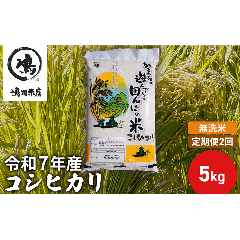 【定期2ヶ月】新米 コシヒカリ 乾式無洗米 5kg 令和7年産 お米 銘柄米 ご飯 おにぎり お弁当 和食 食卓 精米 国産 千葉県産 産地直送 千葉県千葉市28000米・パン無洗米