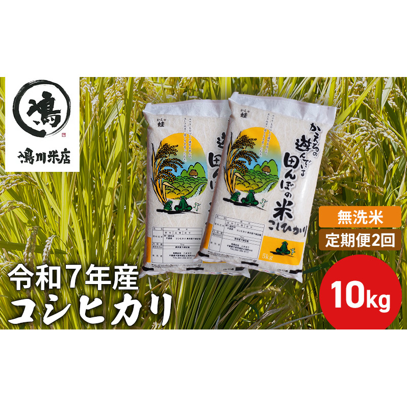 【定期2ヶ月】新米 コシヒカリ 乾式無洗米 10kg(5kg×2)令和7年産 お米 銘柄米 ご飯 おにぎり お弁当 和食 食卓 精米 国産 千葉県産 産地直送 千葉県千葉市56000米・パン無洗米