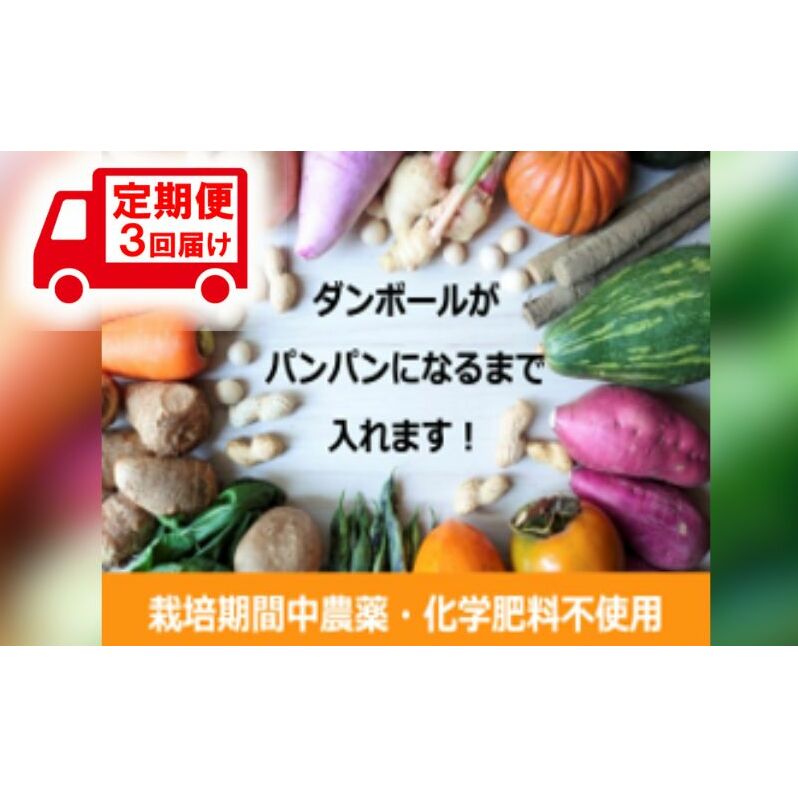 野菜 定期便 3ヶ月 2〜4名様向け 野菜6種 セット+加工品 旬の野菜 生野菜 やさい 新鮮 鮮度 産地直送 詰め合わせ 冷蔵 千葉 定期 お楽しみ 3回 千葉県千葉市30000野菜・きのこその他 野菜