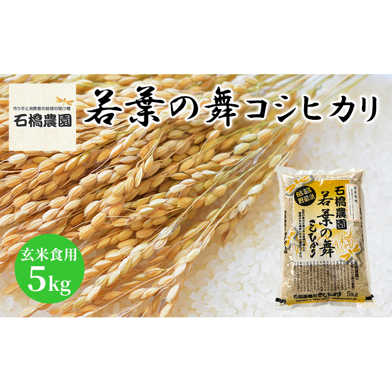 米 若葉の舞 コシヒカリ 玄米食用5kg こしひかり お米 玄米 千葉 千葉県 低温保存千葉県千葉市15000米・パン白米
